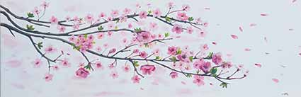 Asiatische Kirschblüte