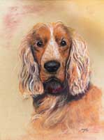 Benji
